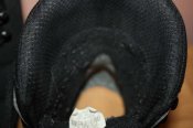 IMG_7295.jpg
