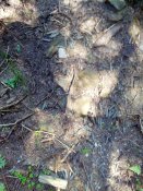 IMG_20140802_162424.jpg