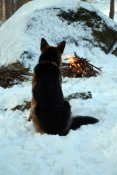 DSC_0190a.jpg