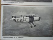 DSC02246.JPG