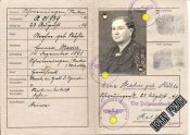 25190-2.jpg