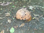 WP_20140808_003.jpg