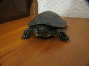 IMG_2381.JPG