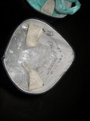 ty 782.jpg