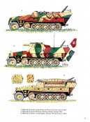 SdKfz 251 Hulf-Track (4).jpg