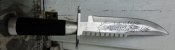 DSC02111.JPG