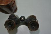 DSC_4751.JPG