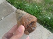 20140820_164452.jpg