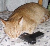 x_66eb5151.jpg