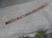 DSCN6665.JPG