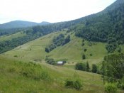 DSC08018.JPG