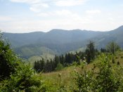 DSC08022.JPG
