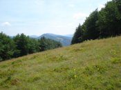DSC08024.JPG