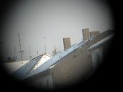 IMG_4691.JPG