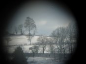 IMG_4692.JPG