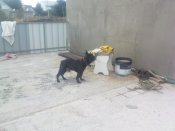 DSC02834.JPG