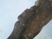 IMG_3591.JPG