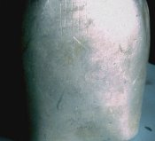 IMAG0047.jpg
