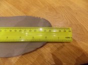 DSCN1071.JPG