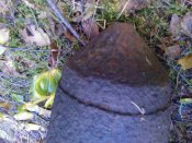 WP_001817.jpg