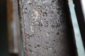 DSC_0065.JPG