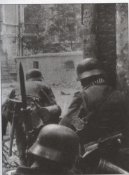 цельт вид.jpg