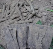 патрики.JPG