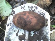 DSC00298.JPG