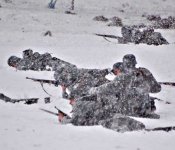 Бородино 006 2007г..jpg