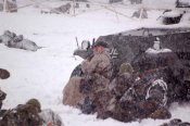 Бородино 002 2007г..jpg