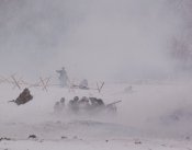 Бородино 23 2007г..jpg