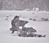 Бородино 005 2007г..jpg