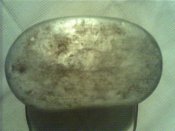 Foto_1233.jpg