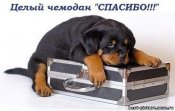 &_65533.jpg