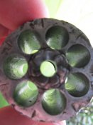 IMG_2489_новый размер.JPG