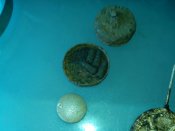 IMG_20140906_184939.jpg