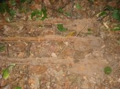 DSCN6579.JPG