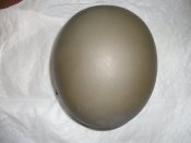 DSC07238.JPG