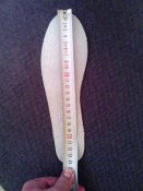 берц стелька.jpg