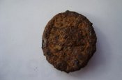 DSC05528.JPG