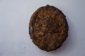 DSC05529.JPG