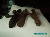 IMG_1884.jpg