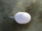 IMG_5447.jpg