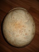 DSC00060.JPG