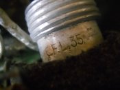 DSCN5430.jpg