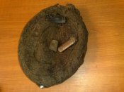 100320103745.jpg