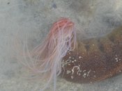 IMG_5453.jpg
