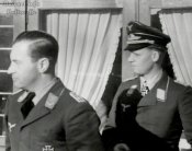 erwin005.jpg
