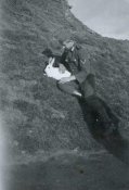 img390.jpg