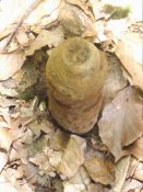 DSCF0657.JPG